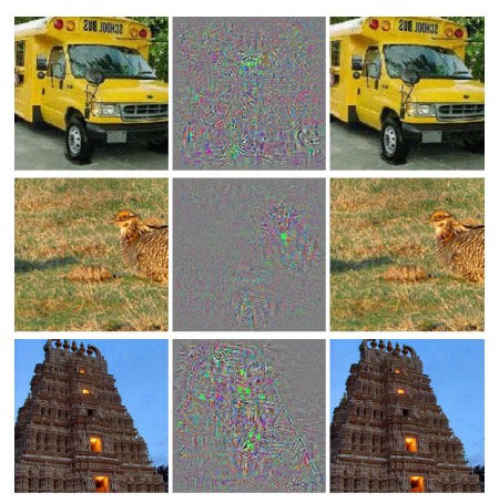 adversarial image