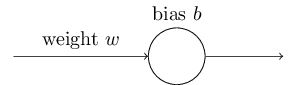 একটি input সহ একটি neuron
