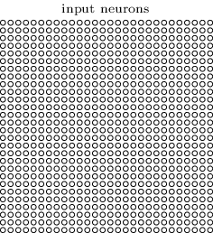 28x28 input neuron-এর বর্গ